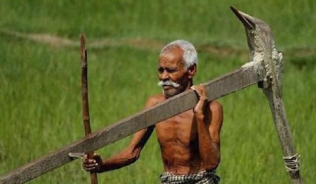 印度耕地面积世界第二，为什么还不能喂饱印度人？