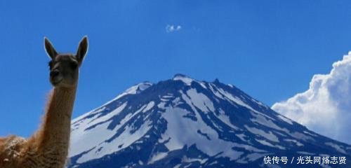气候类型的分布有规律吗这种气候竟在亚洲、非洲、南极洲都没有