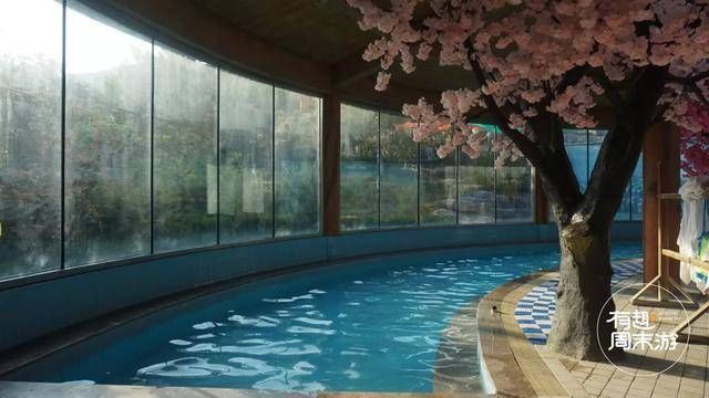 烟台温泉测评 | 有喵星人加持的温泉度假区 为何中规中矩？