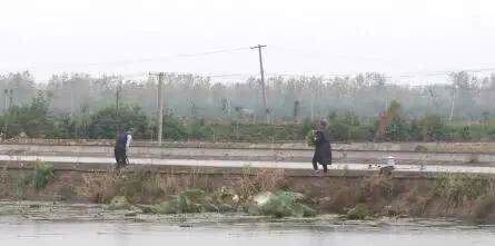  产值@啥养殖新模式？能每亩纯利润近万元，光卖鱼产值就有26万！