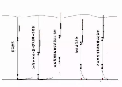  钓点■关于水库、江河钓鱼技巧，一次说个透彻！