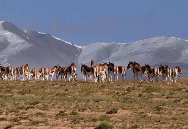 中国人迹稀罕的四大无人区，能去过的人不多，最神秘的是这里
