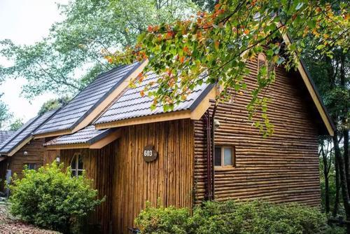 愿有一木屋 · 与你共度余生