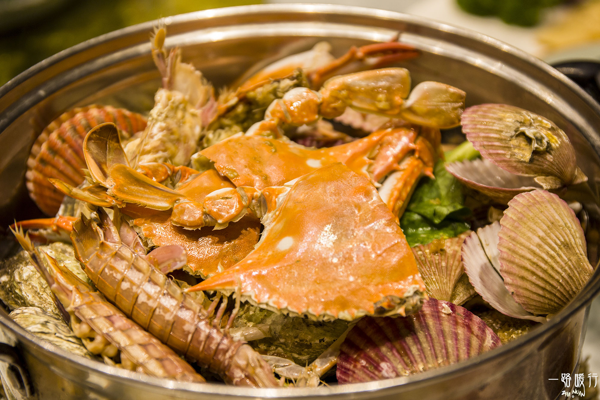 东营丨走过沧海桑田，终是在芦花飞雪的秋日遇见你