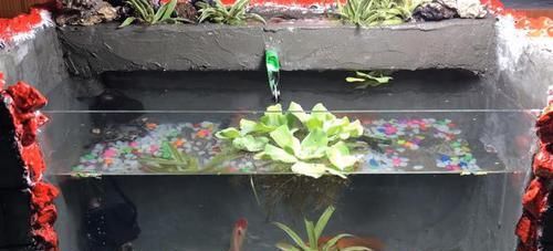  花钱买：鱼缸不用花钱买了，老爸裁开泡沫箱来养鱼，如同砖砌的，省钱好看