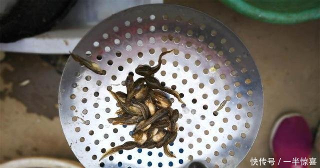 原以为农村大妈是在售卖小鱼仔,捞起来看清,让人难释怀！
