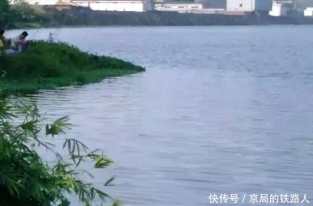 技巧■在流水中钓鱼应该掌握什么技巧?