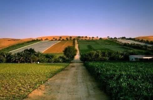  [中东国家]将海水直接引入沙漠会是什么后果？看看中东国家教训