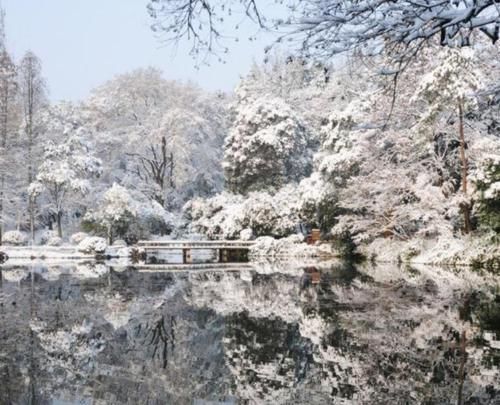 下着雪的苏州，一夜间美成了“姑苏”，游客：像是一个白色的江南