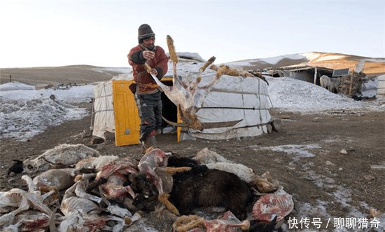 外蒙古与内蒙古牧民冬季生活的对比, 差距太大