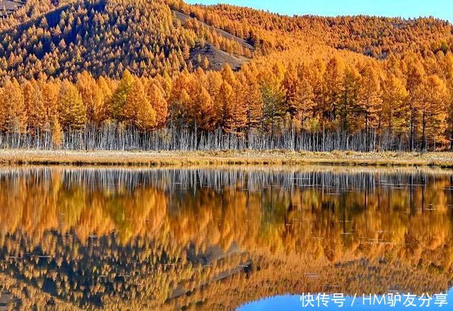 中国最美秋色：比喀纳斯清新，比稻城更童话！正适合秋天