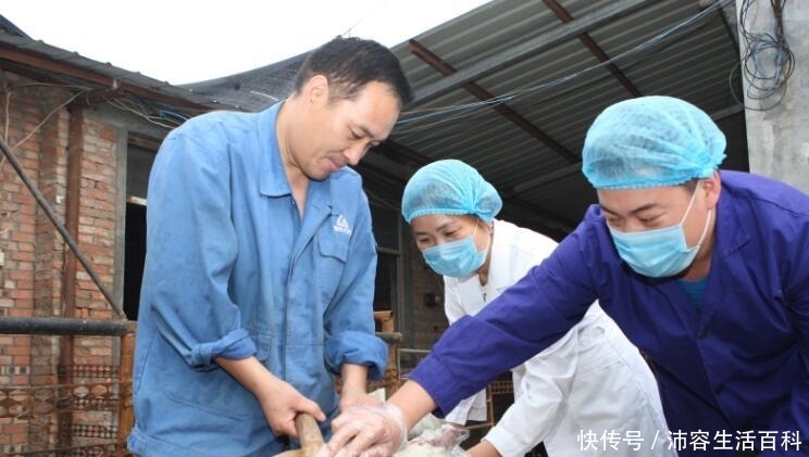  「养殖场」农村的养殖户注意，这3类养殖场将会受到严查，一旦发