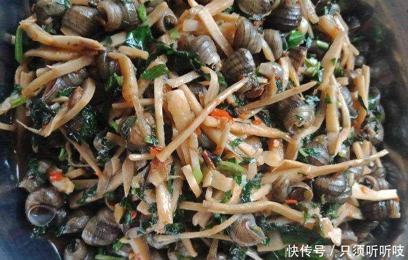 农村竹林里一种神奇野草，嚼2片叶子能治牙疼，炒田螺更是一绝