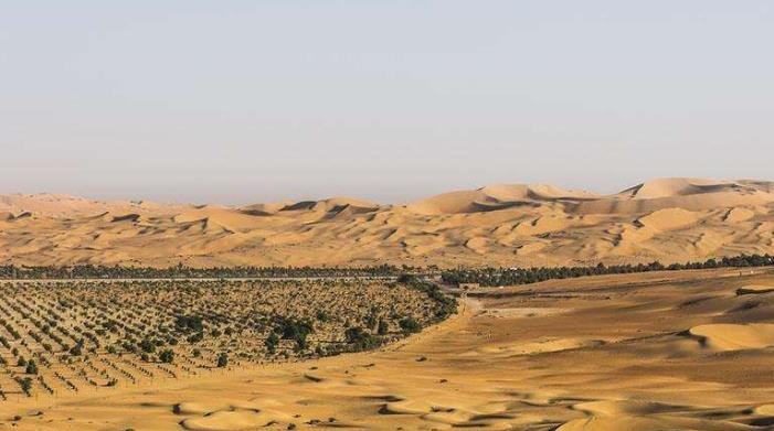 中国花费30年沙漠“变”绿洲，如今被他们“毁了”，治沙人心寒