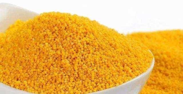  熟化：钓鱼时用熟饵效果好，还是生饵效果好