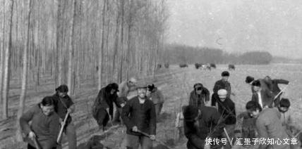  【寒冷】山东人为什么要去寒冷的东北“闯关东”，不去富饶的南方呢