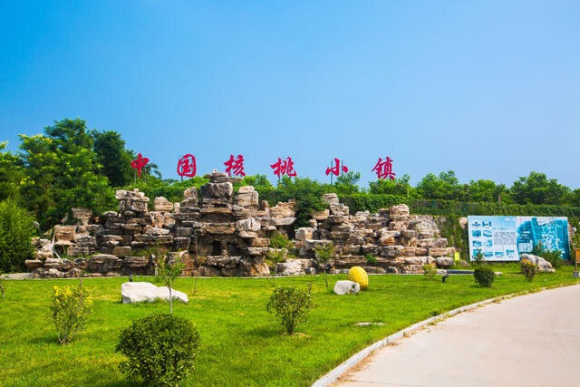 邢台市第二届旅游产业发展大会倒计时