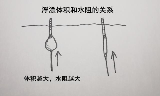  铅消耗@浮漂吃铅量小就灵敏度高？这是你钓鱼失败的关键
