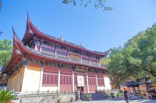 这里遍地都是硅化木化石，还有满坡的恐龙蛋却没有人去挖