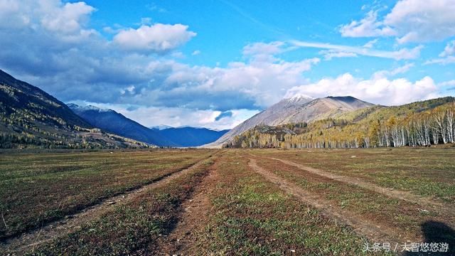 为什么去西藏旅游的人多而去新疆的人少