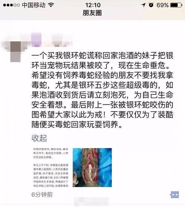 女孩谎称泡酒网购银环蛇当宠物被咬身亡！卖家否认卖蛇却发圈吐槽