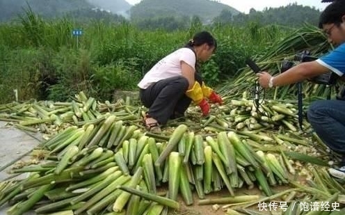  「不错」它是我国的特产蔬菜，亩产6000斤，批发价5元一斤，市场