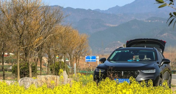  「不失气质」简约不失优雅油菜花地里的WEYVV7精致迷人