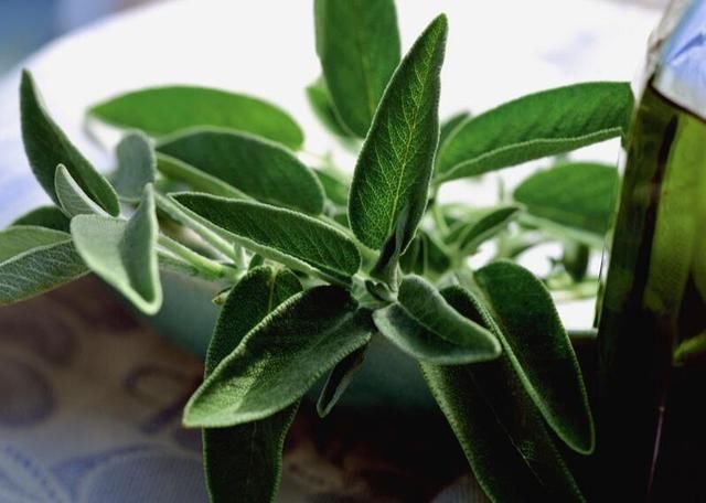 起床后有这3个表现，毫无疑问，是螨虫在脸上“打洞做窝”