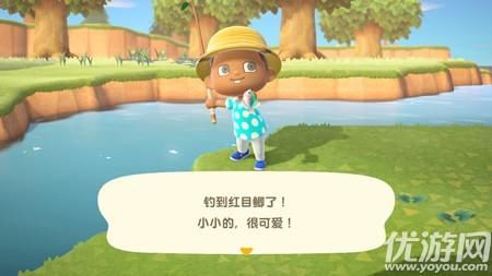 「价格」集合啦动物之森鱼类价格一览表
