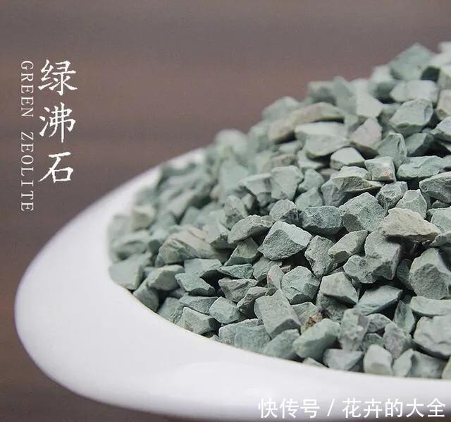  【多肉的时】多肉“铺面”的那些事儿