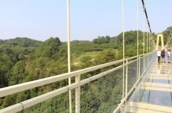 转发|重庆主城第一5D玻璃桥亮相巴南,门票优惠