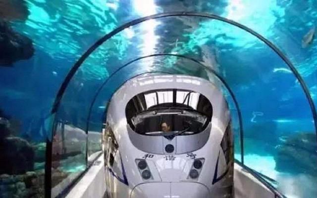 德国工程师：中国没有高铁技术，日本专家：简直在自欺欺人