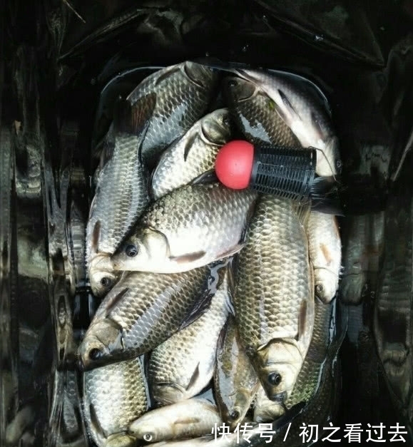 提醒:为啥等了半天都没鱼咬钩?老钓友提醒你,真的不应该“等口”