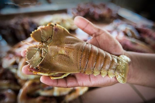 要想吃海鲜，就到这个城市，一百元吃到你怀疑人生!