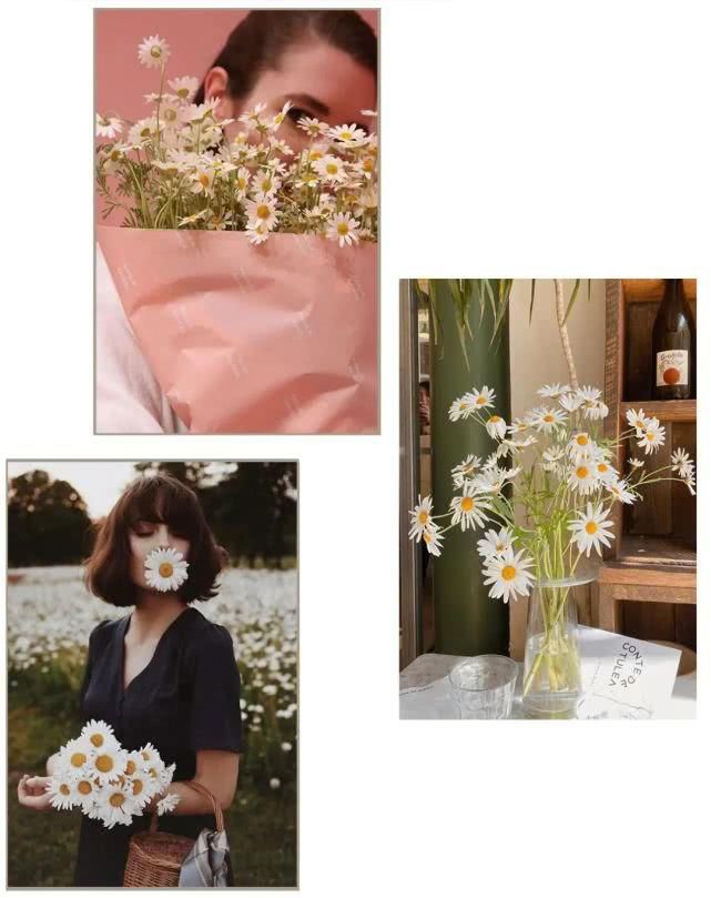  『上小雏』“小雏菊裙”火了，洋气又高级！