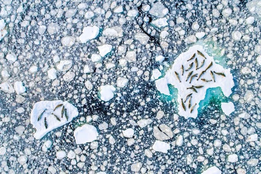 9 个月，130000 张照片，这个摄影奖公布了最终入围作品