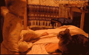 妹子，这裙子也太短了吧，还穿高跟鞋，这下崴脚了，内衣都出来了