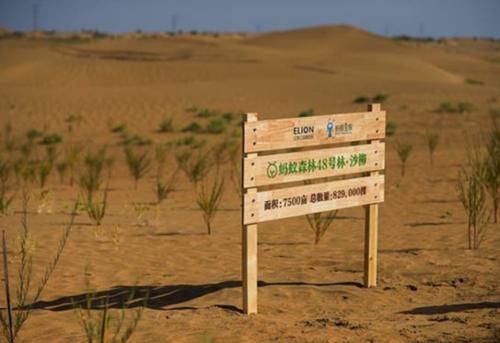  【蚂蚁】马云的蚂蚁森林三年了，现在怎么样了？卫星拍摄的照片