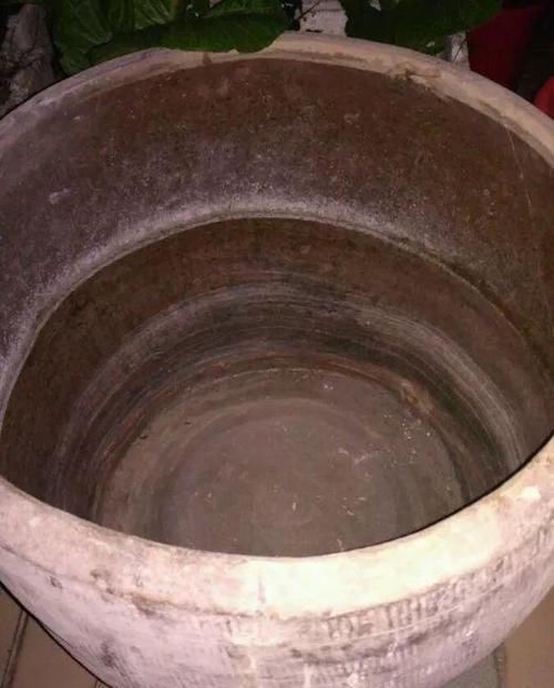  「一大」成都刘阿姨，赶集买了3根“藕根”，埋进大水缸里，收获了一大缸