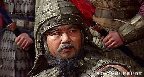 「嘲讽」三国中唯一活过整个时期的武将,见证蜀汉兴衰,被后人嘲讽