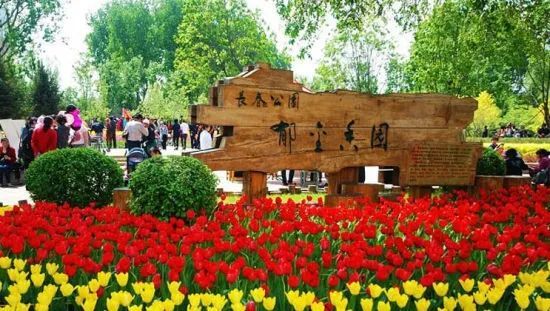  预警|吉林省天气预警！