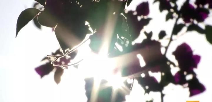 热！热！热！你以为“秋老虎”来了，错！还好要降雨了…