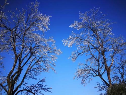 一大波美图正在向你袭来！鹰潭的雾凇让你一秒入仙境！