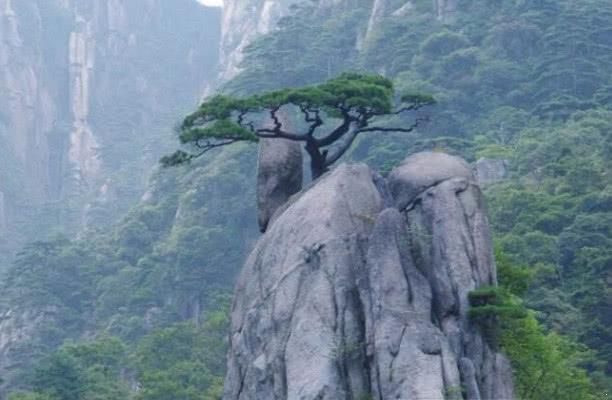 每年门票收入高达6亿，这个景区让周边城市沾了不少光