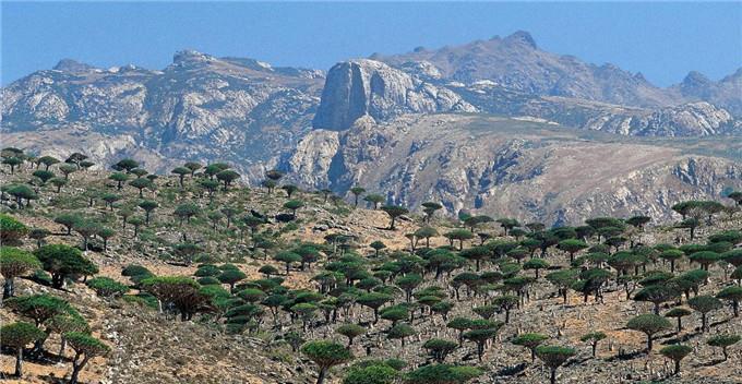 亚洲最值钱的岛屿,与世隔绝千万年,岛上的花鸟鱼虫价值连城
