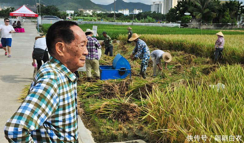  「补贴」袁隆平建议将石油补贴转给农民，粮食收购价提到2元，你