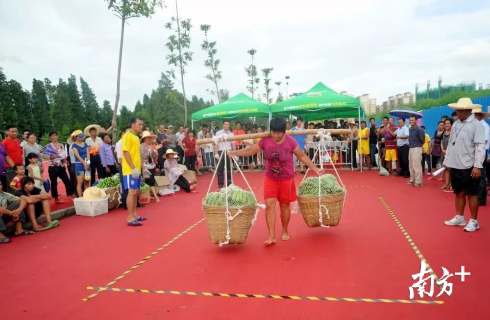 咸水歌、农趣运动会、盆景展…民众镇水乡文化旅游节本周六开幕