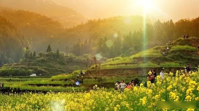 「樱花」中国这些花开成海的地方,美极了