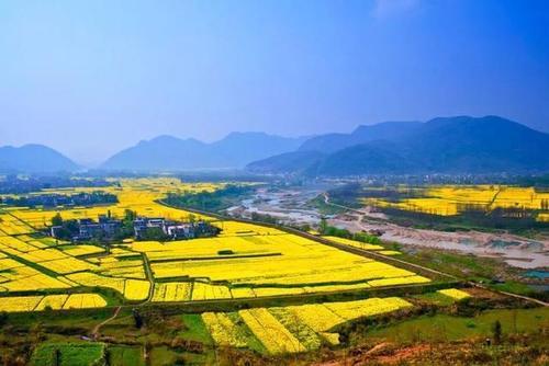 说到安徽的春天第一时间大多想到婺源，其实这十个地方更值得你去