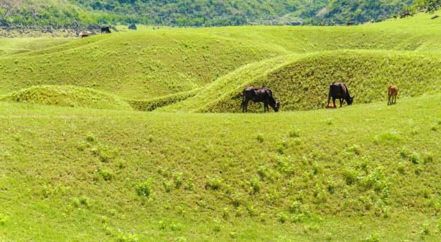 广西最后的香格里拉，极为原始纯净且没被开发，被誉为“小桂林”